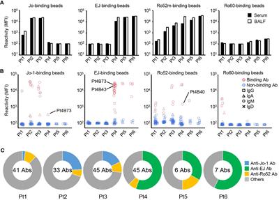 Disease-specific autoantibody production in the lungs and salivary glands of anti-synthetase syndrome